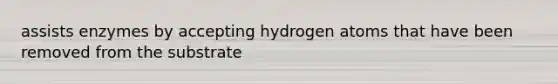 assists enzymes by accepting hydrogen atoms that have been removed from the substrate