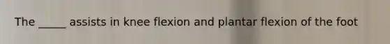 The _____ assists in knee flexion and plantar flexion of the foot