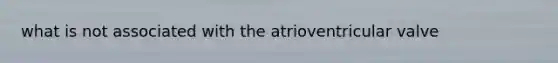 what is not associated with the atrioventricular valve