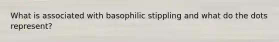 What is associated with basophilic stippling and what do the dots represent?