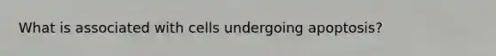 What is associated with cells undergoing apoptosis?