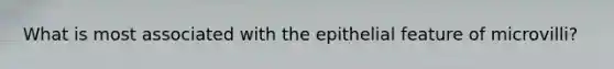 What is most associated with the epithelial feature of microvilli?