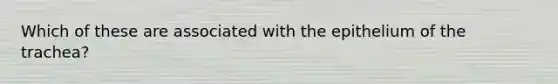 Which of these are associated with the epithelium of the trachea?
