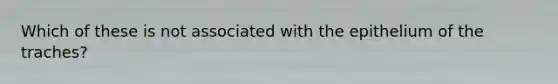 Which of these is not associated with the epithelium of the traches?