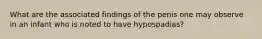 What are the associated findings of the penis one may observe in an infant who is noted to have hypospadias?