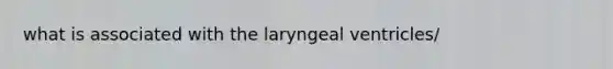 what is associated with the laryngeal ventricles/