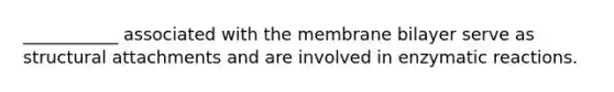 ___________ associated with the membrane bilayer serve as structural attachments and are involved in enzymatic reactions.