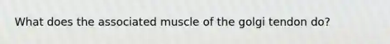 What does the associated muscle of the golgi tendon do?