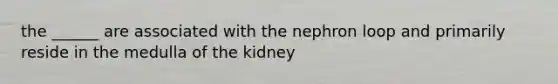 the ______ are associated with the nephron loop and primarily reside in the medulla of the kidney