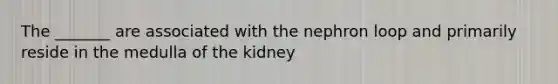 The _______ are associated with the nephron loop and primarily reside in the medulla of the kidney