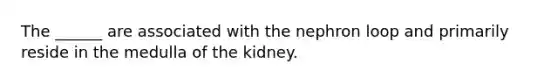 The ______ are associated with the nephron loop and primarily reside in the medulla of the kidney.