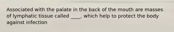 Associated with the palate in the back of the mouth are masses of lymphatic tissue called ____, which help to protect the body against infection