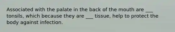 Associated with the palate in the back of the mouth are ___ tonsils, which because they are ___ tissue, help to protect the body against infection.