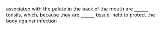 associated with the palate in the back of the mouth are ______ tonsils, which, because they are ______ tissue, help to protect the body against infection