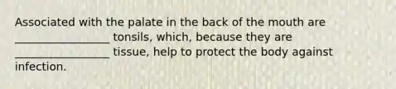 Associated with the palate in the back of the mouth are _________________ tonsils, which, because they are _________________ tissue, help to protect the body against infection.