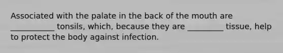 Associated with the palate in the back of <a href='https://www.questionai.com/knowledge/krBoWYDU6j-the-mouth' class='anchor-knowledge'>the mouth</a> are ___________ tonsils, which, because they are _________ tissue, help to protect the body against infection.