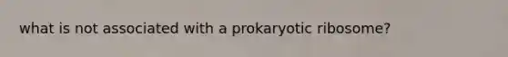 what is not associated with a prokaryotic ribosome?