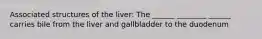 Associated structures of the liver: The ______ ________ ______ carries bile from the liver and gallbladder to the duodenum