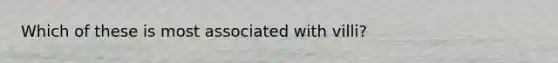 Which of these is most associated with villi?