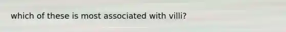 which of these is most associated with villi?