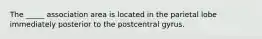 The _____ association area is located in the parietal lobe immediately posterior to the postcentral gyrus.