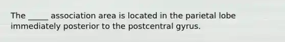 The _____ association area is located in the parietal lobe immediately posterior to the postcentral gyrus.