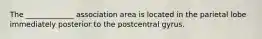 The _____________ association area is located in the parietal lobe immediately posterior to the postcentral gyrus.