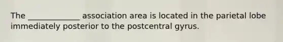 The _____________ association area is located in the parietal lobe immediately posterior to the postcentral gyrus.