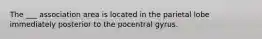 The ___ association area is located in the parietal lobe immediately posterior to the pocentral gyrus.