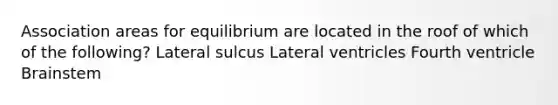 Association areas for equilibrium are located in the roof of which of the following? Lateral sulcus Lateral ventricles Fourth ventricle Brainstem