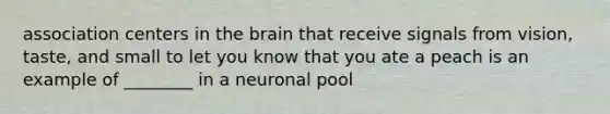 association centers in the brain that receive signals from vision, taste, and small to let you know that you ate a peach is an example of ________ in a neuronal pool