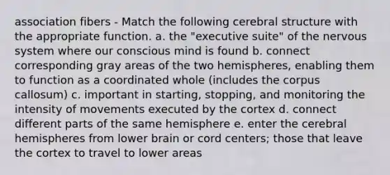 association fibers - Match the following cerebral structure with the appropriate function. a. the "executive suite" of the nervous system where our conscious mind is found b. connect corresponding gray areas of the two hemispheres, enabling them to function as a coordinated whole (includes the corpus callosum) c. important in starting, stopping, and monitoring the intensity of movements executed by the cortex d. connect different parts of the same hemisphere e. enter the cerebral hemispheres from lower brain or cord centers; those that leave the cortex to travel to lower areas