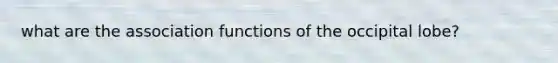 what are the association functions of the occipital lobe?