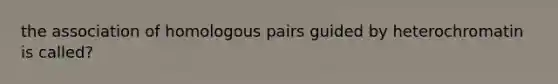 the association of homologous pairs guided by heterochromatin is called?