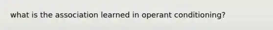 what is the association learned in operant conditioning?