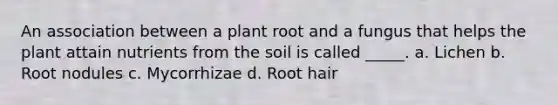 An association between a plant root and a fungus that helps the plant attain nutrients from the soil is called _____. a. Lichen b. Root nodules c. Mycorrhizae d. Root hair