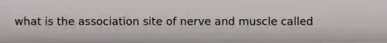 what is the association site of nerve and muscle called