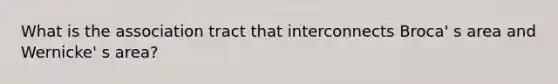 What is the association tract that interconnects Broca' s area and Wernicke' s area?