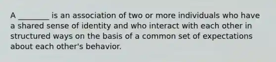 A ________ is an association of two or more individuals who have a shared sense of identity and who interact with each other in structured ways on the basis of a common set of expectations about each other's behavior.