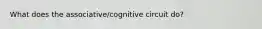 What does the associative/cognitive circuit do?