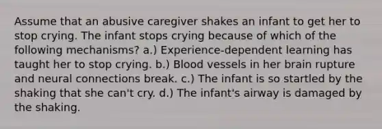 Assume that an abusive caregiver shakes an infant to get her to stop crying. The infant stops crying because of which of the following mechanisms? a.) Experience-dependent learning has taught her to stop crying. b.) Blood vessels in her brain rupture and neural connections break. c.) The infant is so startled by the shaking that she can't cry. d.) The infant's airway is damaged by the shaking.