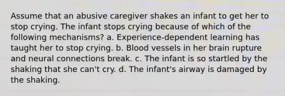 Assume that an abusive caregiver shakes an infant to get her to stop crying. The infant stops crying because of which of the following mechanisms? a. Experience-dependent learning has taught her to stop crying. b. Blood vessels in her brain rupture and neural connections break. c. The infant is so startled by the shaking that she can't cry. d. The infant's airway is damaged by the shaking.