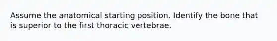 Assume the anatomical starting position. Identify the bone that is superior to the first thoracic vertebrae.