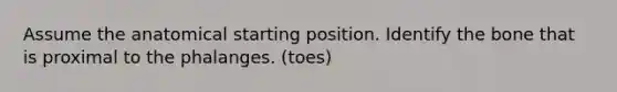 Assume the anatomical starting position. Identify the bone that is proximal to the phalanges. (toes)