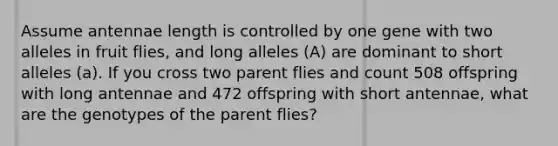 Assume antennae length is controlled by one gene with two alleles in fruit flies, and long alleles (A) are dominant to short alleles (a). If you cross two parent flies and count 508 offspring with long antennae and 472 offspring with short antennae, what are the genotypes of the parent flies?