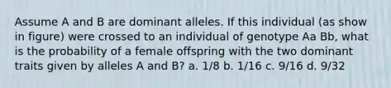 Assume A and B are dominant alleles. If this individual (as show in figure) were crossed to an individual of genotype Aa Bb, what is the probability of a female offspring with the two dominant traits given by alleles A and B? a. 1/8 b. 1/16 c. 9/16 d. 9/32