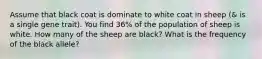 Assume that black coat is dominate to white coat in sheep (& is a single gene trait). You find 36% of the population of sheep is white. How many of the sheep are black? What is the frequency of the black allele?