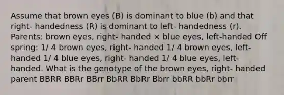 Assume that brown eyes (B) is dominant to blue (b) and that right- handedness (R) is dominant to left- handedness (r). Parents: brown eyes, right- handed × blue eyes, left-handed Off spring: 1/ 4 brown eyes, right- handed 1/ 4 brown eyes, left- handed 1/ 4 blue eyes, right- handed 1/ 4 blue eyes, left- handed. What is the genotype of the brown eyes, right- handed parent BBRR BBRr BBrr BbRR BbRr Bbrr bbRR bbRr bbrr