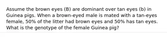 Assume the brown eyes (B) are dominant over tan eyes (b) in Guinea pigs. When a brown-eyed male is mated with a tan-eyes female, 50% of the litter had brown eyes and 50% has tan eyes. What is the genotype of the female Guinea pig?