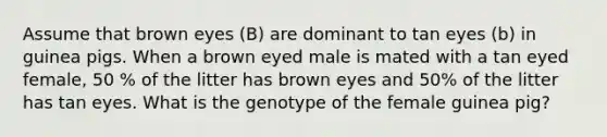 Assume that brown eyes (B) are dominant to tan eyes (b) in guinea pigs. When a brown eyed male is mated with a tan eyed female, 50 % of the litter has brown eyes and 50% of the litter has tan eyes. What is the genotype of the female guinea pig?